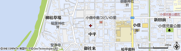 愛知県一宮市小信中島中平13周辺の地図