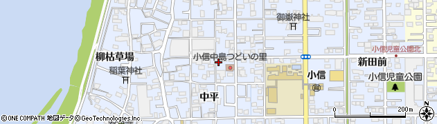 愛知県一宮市小信中島中平3周辺の地図