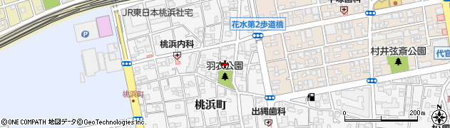 神奈川県平塚市桃浜町13-21周辺の地図