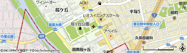 神奈川県平塚市桜ケ丘2周辺の地図