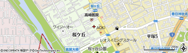 神奈川県平塚市桜ケ丘3周辺の地図