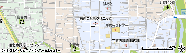 神奈川県平塚市徳延227周辺の地図
