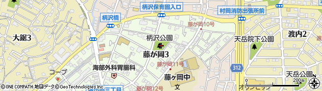 柄沢公園周辺の地図