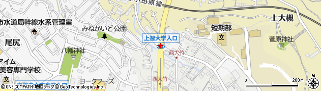 上智大入口周辺の地図