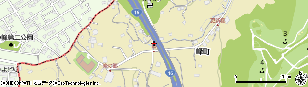 神奈川県横浜市磯子区峰町499周辺の地図