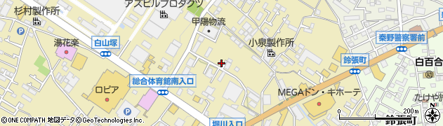 神奈川県秦野市平沢243周辺の地図