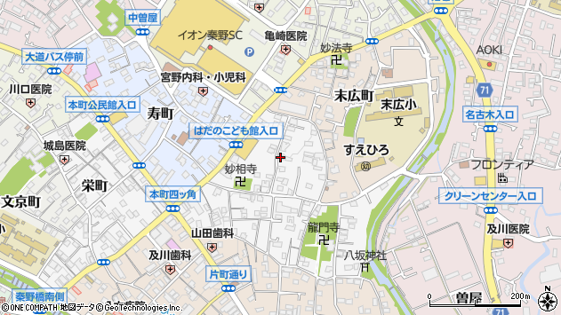 〒257-0036 神奈川県秦野市元町の地図