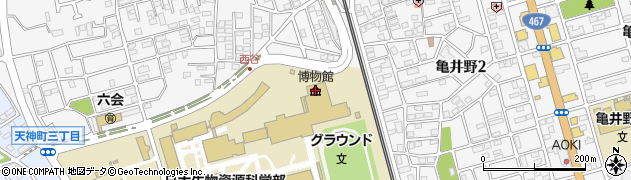 日本大学生物資源科学部博物館周辺の地図