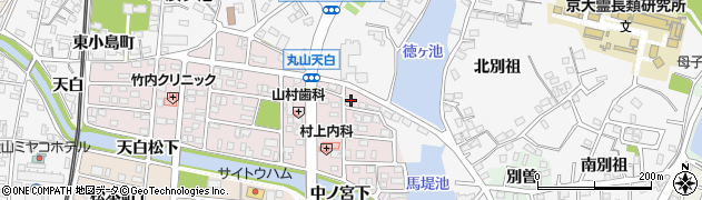 愛知県犬山市丸山天白町207周辺の地図