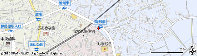 神奈川県伊勢原市池端286周辺の地図