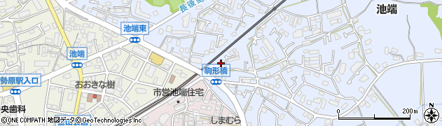 神奈川県伊勢原市池端260周辺の地図