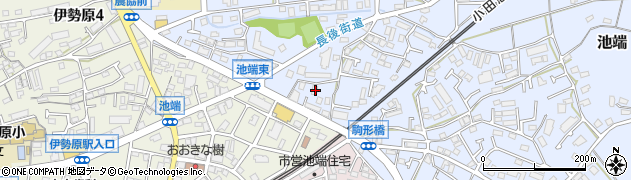 神奈川県伊勢原市池端253周辺の地図