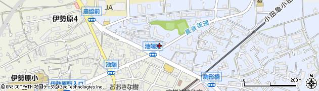 神奈川県伊勢原市池端242周辺の地図