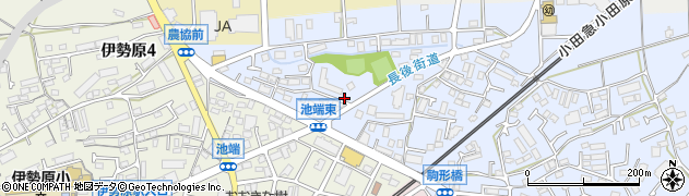 神奈川県伊勢原市池端236周辺の地図