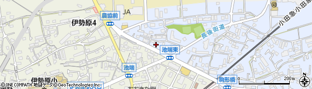 神奈川県伊勢原市池端153周辺の地図