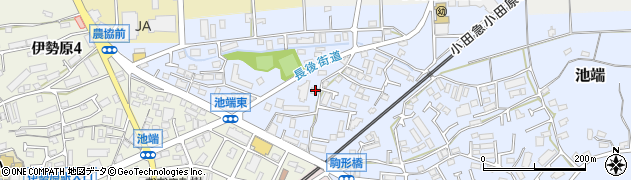 神奈川県伊勢原市池端251周辺の地図