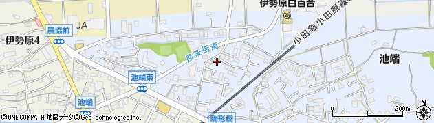 神奈川県伊勢原市池端265周辺の地図