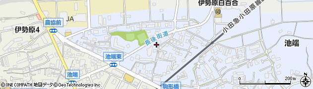 神奈川県伊勢原市池端249周辺の地図