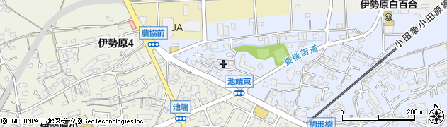 神奈川県伊勢原市池端159周辺の地図