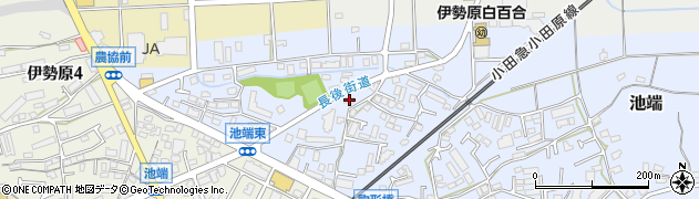 神奈川県伊勢原市池端231周辺の地図