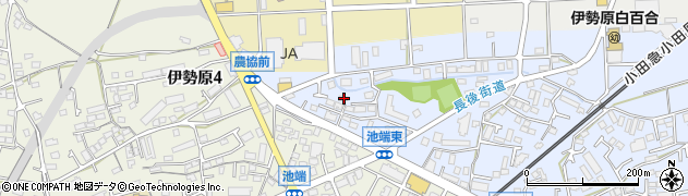 神奈川県伊勢原市池端158周辺の地図