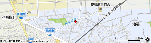 神奈川県伊勢原市池端228周辺の地図