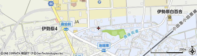 神奈川県伊勢原市池端177周辺の地図