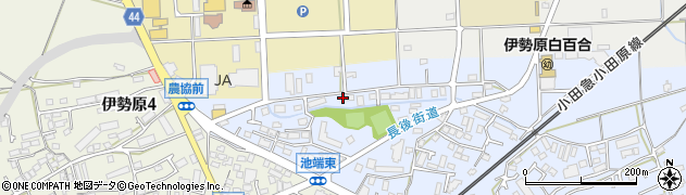 神奈川県伊勢原市池端187周辺の地図