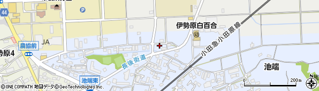 神奈川県伊勢原市池端212周辺の地図