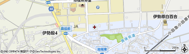 神奈川県伊勢原市池端181周辺の地図