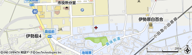 神奈川県伊勢原市池端191周辺の地図