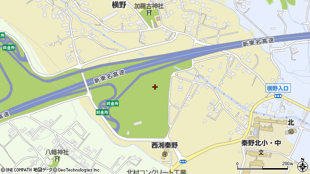 〒259-1307 神奈川県秦野市横野の地図