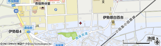神奈川県伊勢原市池端200周辺の地図