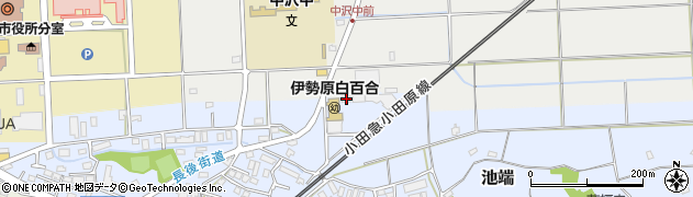 神奈川県伊勢原市池端539周辺の地図