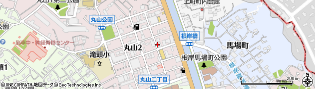 コスモ薬局丸山店周辺の地図