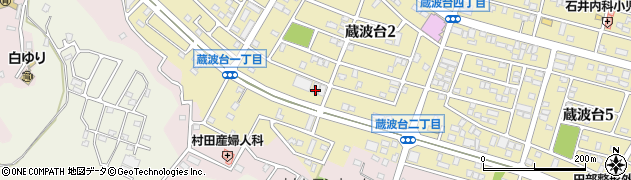株式会社ヤマフジ周辺の地図