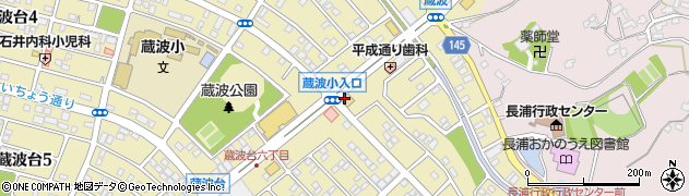 サイゼリヤ 袖ヶ浦蔵波台店周辺の地図