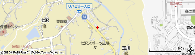 神奈川県厚木市七沢244周辺の地図