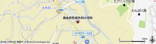 神奈川県厚木市七沢804周辺の地図