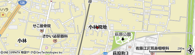 千葉県茂原市小林飛地周辺の地図