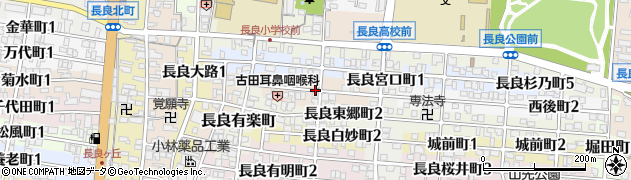 岐阜県岐阜市長良若葉町周辺の地図