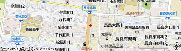 岐阜県岐阜市長良福光2239周辺の地図
