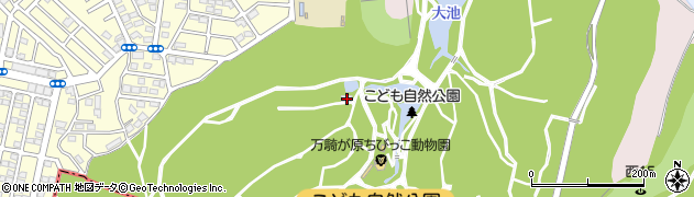神奈川県横浜市旭区大池町61周辺の地図