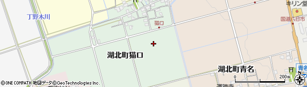 滋賀県長浜市湖北町猫口周辺の地図