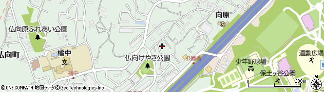 神奈川県横浜市保土ケ谷区仏向町1052周辺の地図