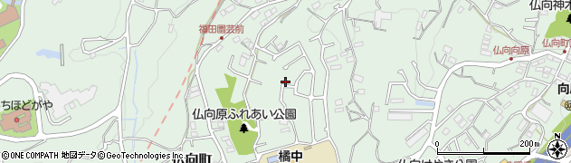 神奈川県横浜市保土ケ谷区仏向町1231周辺の地図