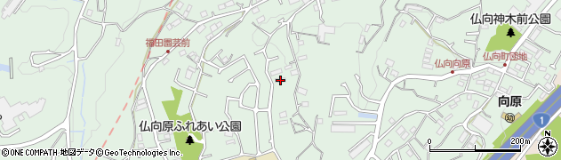 神奈川県横浜市保土ケ谷区仏向町1182周辺の地図