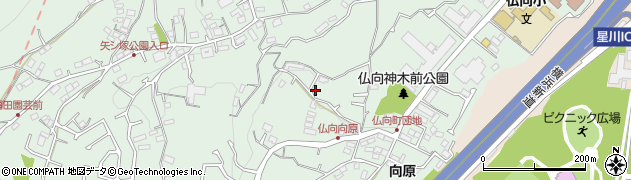 神奈川県横浜市保土ケ谷区仏向町794周辺の地図