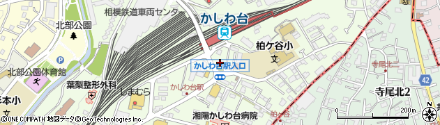 神奈川県海老名市柏ケ谷1036周辺の地図