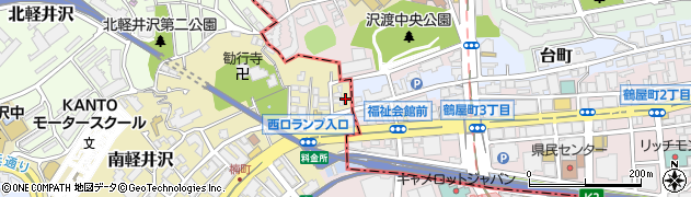 神奈川県横浜市西区南軽井沢1周辺の地図